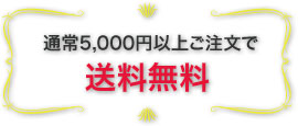 通常5,000円以上ご注文で送料無料
